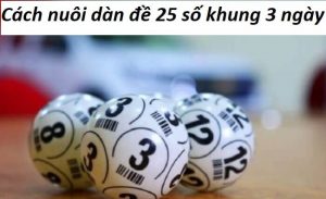 Cách nuôi dàn đề 25 số khung 3 ngày